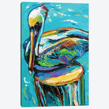 Perched Pelican I Canvas Print #RPH304} by Robert Phelps Canvas Art