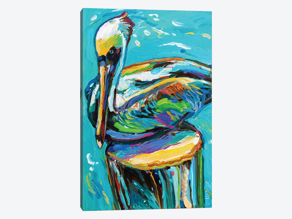 Perched Pelican I by Robert Phelps 1-piece Canvas Wall Art