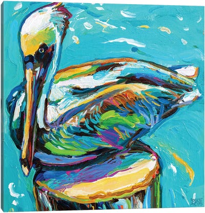 Perched Pelican II Canvas Art Print - Pelican Art