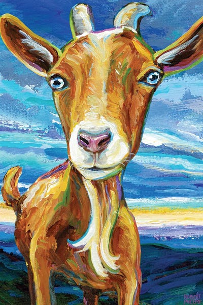 Appalachian Goat by Robert Phelps framed canvas print