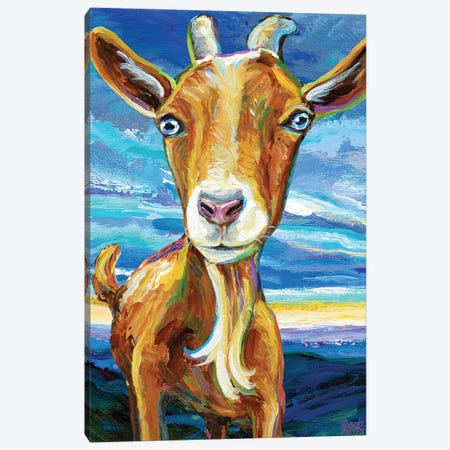 Appalachian Goat Canvas Print #RPH307} by Robert Phelps Canvas Artwork