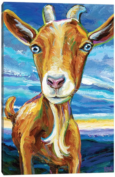 Appalachian Goat Canvas Art Print - Robert Phelps