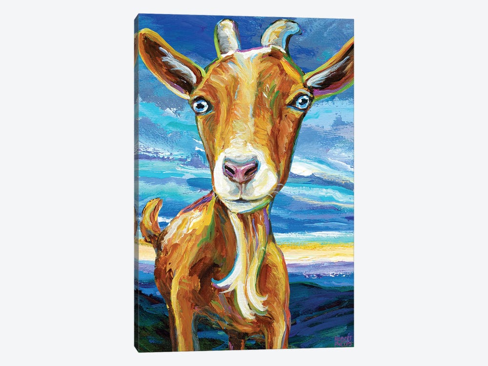 Appalachian Goat by Robert Phelps 1-piece Art Print