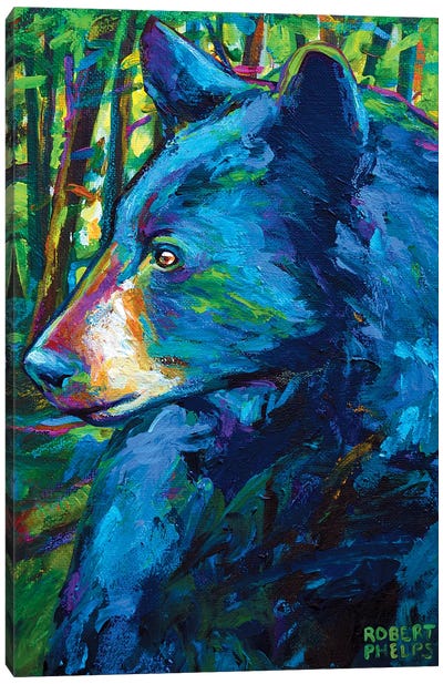 Forestbear Canvas Art Print - Robert Phelps