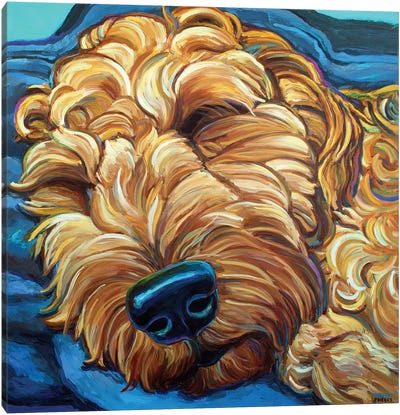 Sleepy Goldendoodle Canvas Art Print - Pet Dad