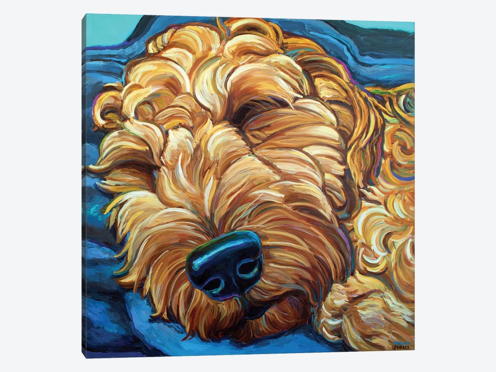 Sleepy Goldendoodle by Robert Phelps 1-piece Canvas Print