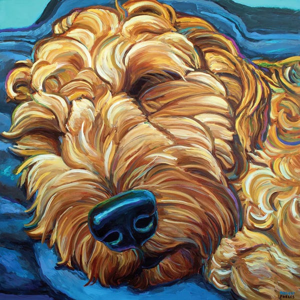 Goldendoodles: Sleepy Goldendoodle by Robert Phelps