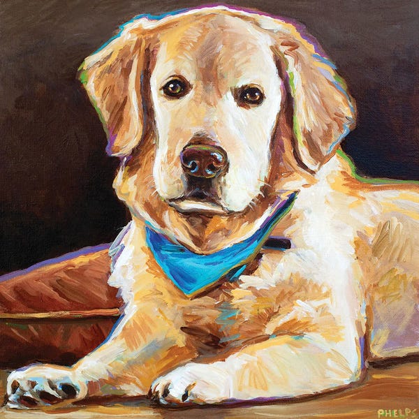 Robert Phelps: Golden Retriever by Robert Phelps