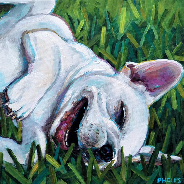 Frenchie by Robert Phelps wall art