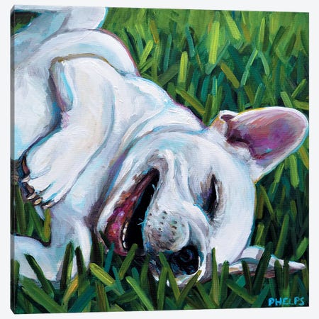 Frenchie Canvas Print #RPH31} by Robert Phelps Canvas Print