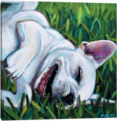 Frenchie Canvas Art Print - French Bulldog Art