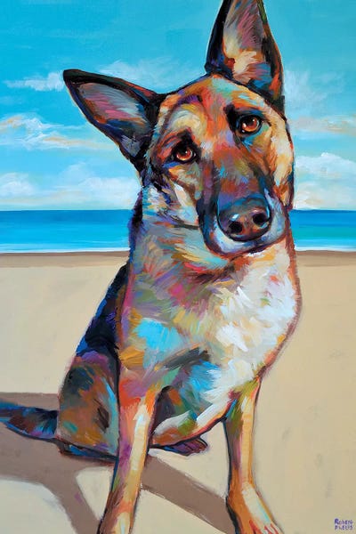 Robert Phelps: German Shepherd by Robert Phelps