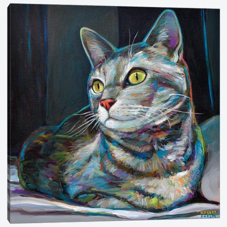 Graycat Canvas Print #RPH34} by Robert Phelps Canvas Wall Art