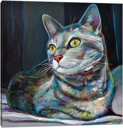 Graycat Canvas Art Print - Tabby Cat Art