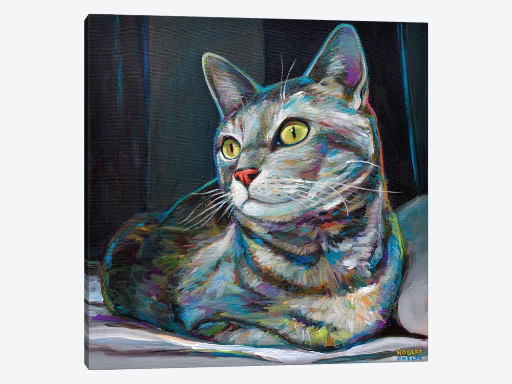 Graycat by Robert Phelps 1-piece Canvas Art Print