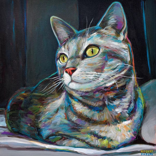Robert Phelps: Graycat by Robert Phelps