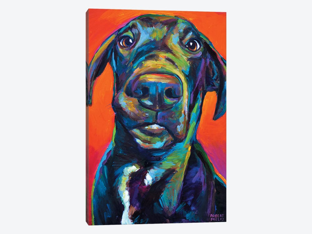 Great Dane I by Robert Phelps 1-piece Canvas Artwork