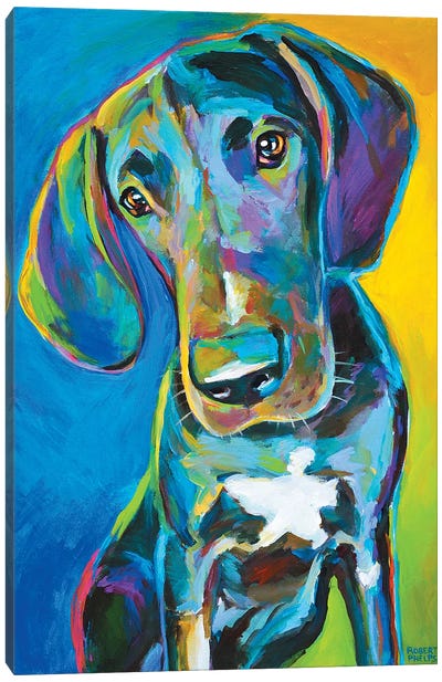 Great Dane II Canvas Art Print - Homage to The Fauves