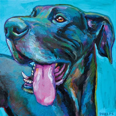 Great Dane III by Robert Phelps canvas print