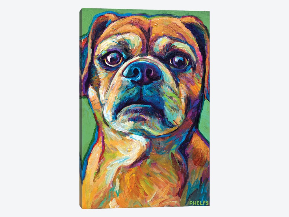 Green Puggle by Robert Phelps 1-piece Canvas Print