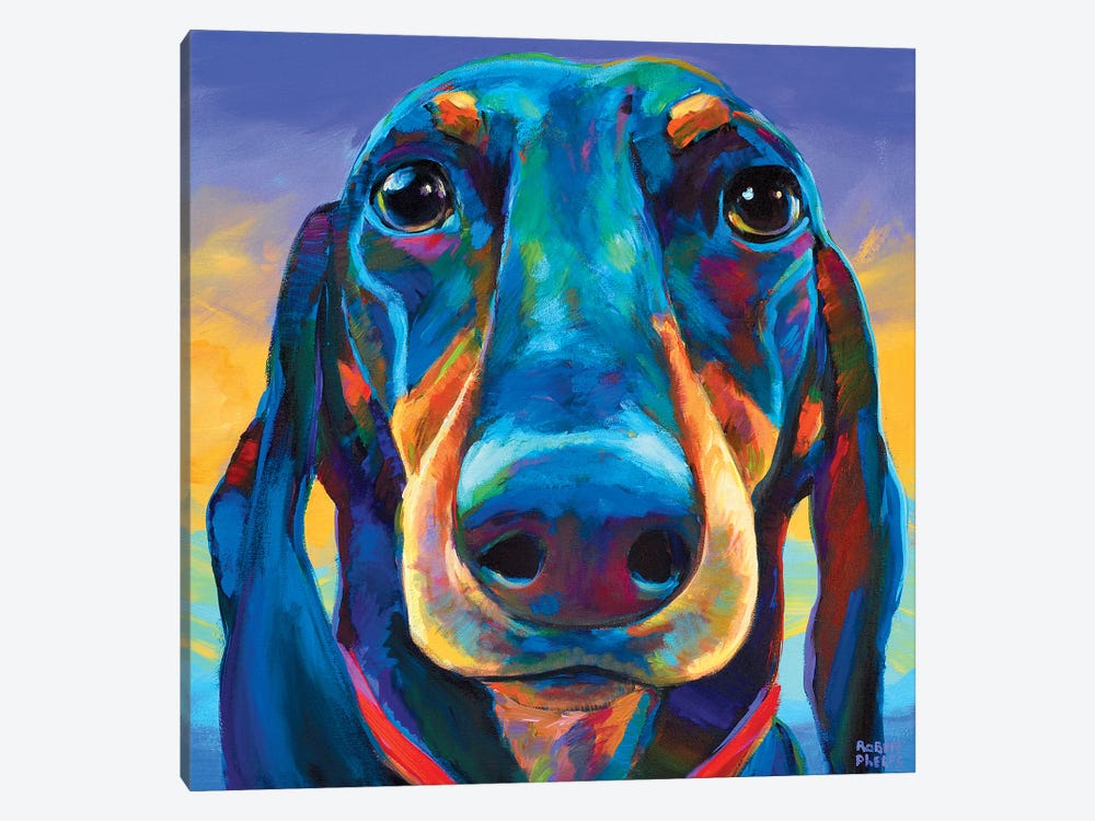 Gus The Dachshund by Robert Phelps 1-piece Canvas Wall Art