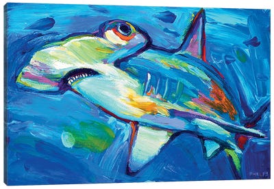 Hammerhead Canvas Art Print - Shark Art