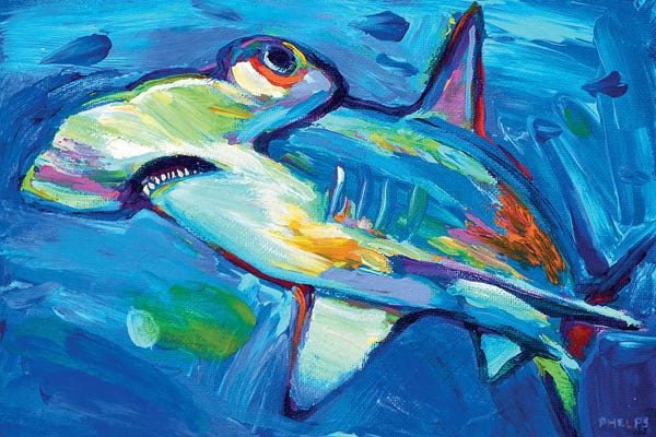 Sharks: Hammerhead by Robert Phelps