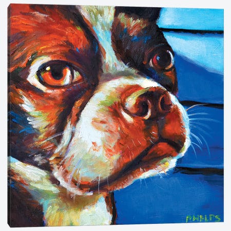 Hank The Boston Terrier Canvas Print #RPH42} by Robert Phelps Canvas Wall Art