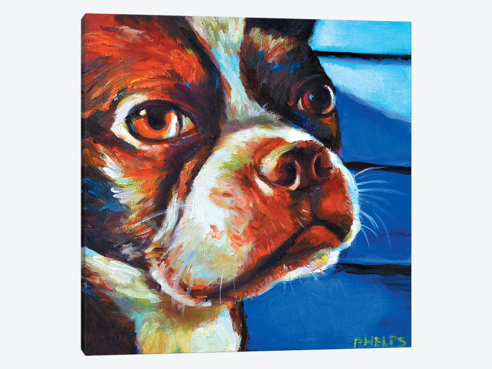 Hank The Boston Terrier by Robert Phelps 1-piece Canvas Artwork