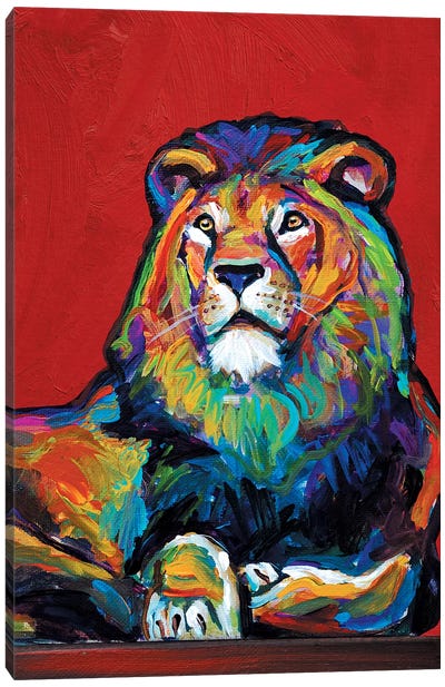 Lion Canvas Art Print - Robert Phelps
