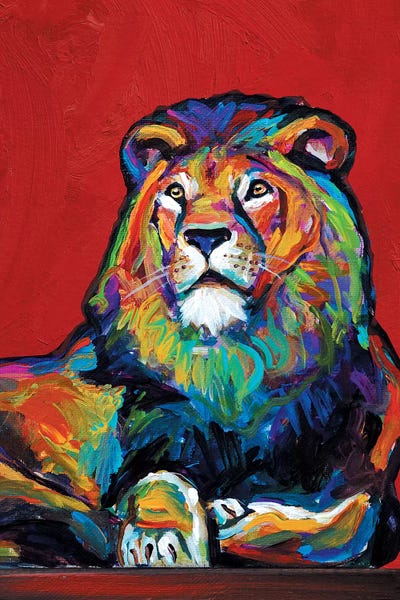 Robert Phelps: Lion by Robert Phelps