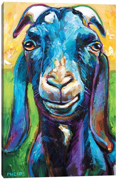 Lucian Canvas Art Print - Goat Art