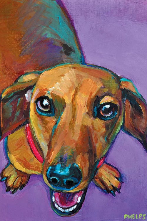 Lucy The Dachshund by Robert Phelps wall art