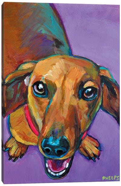 Lucy The Dachshund Canvas Art Print - Robert Phelps