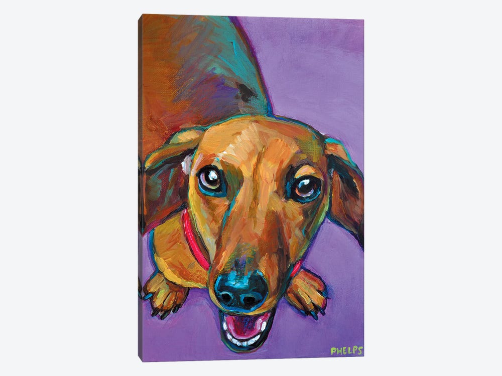 Lucy The Dachshund by Robert Phelps 1-piece Canvas Art Print