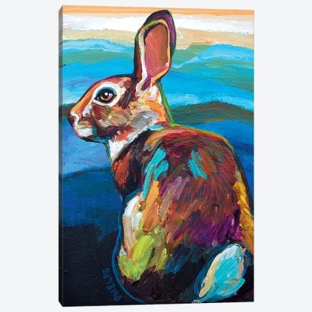 Mountain Bunny Canvas Print #RPH48} by Robert Phelps Canvas Art