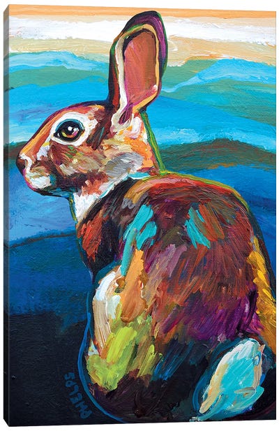 Mountain Bunny Canvas Art Print - Robert Phelps