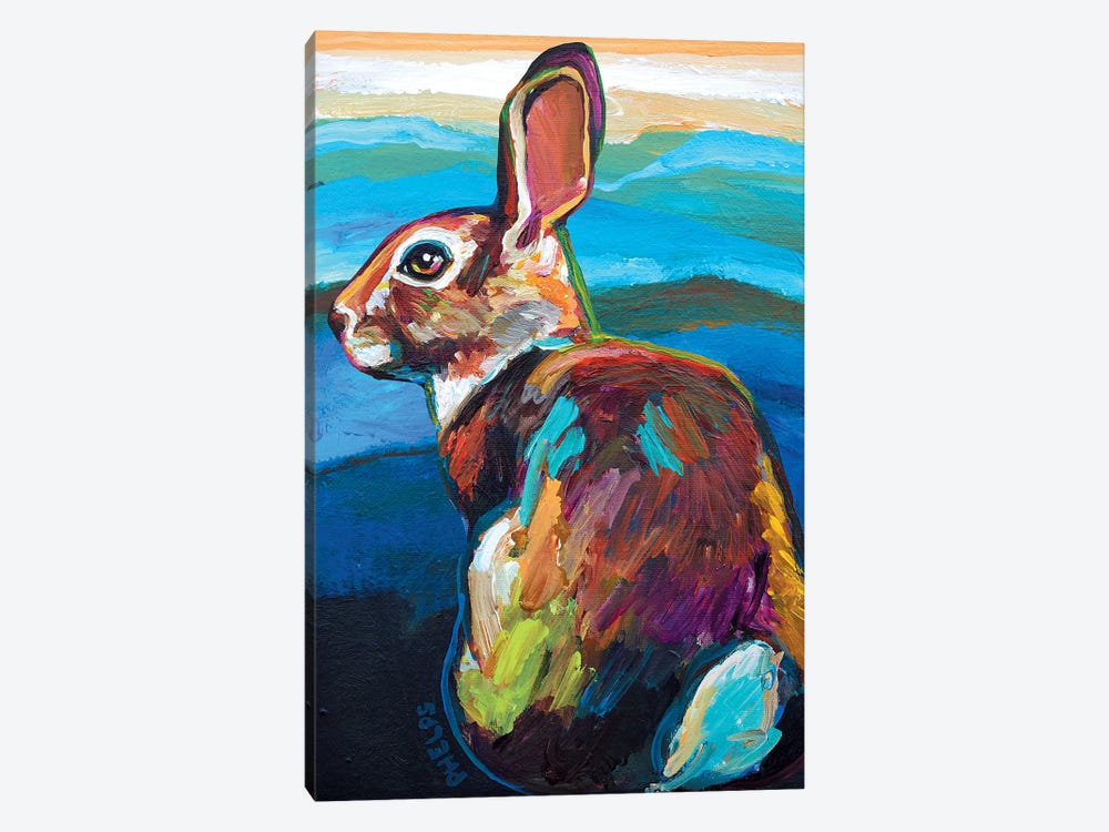 Mountain Bunny by Robert Phelps 1-piece Canvas Art