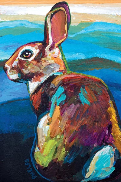 Robert Phelps: Mountain Bunny by Robert Phelps