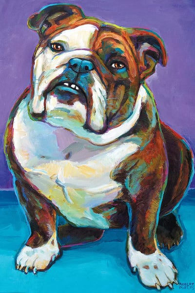 Bulldogs: Nya Red Bubble by Robert Phelps