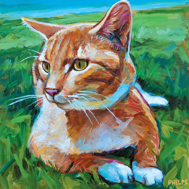 Orange Tabby by Robert Phelps wall art