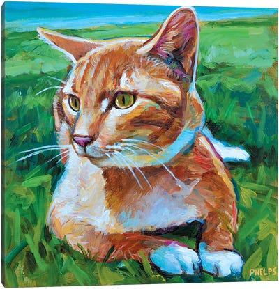 Orange Tabby Canvas Art Print - Tabby Cat Art