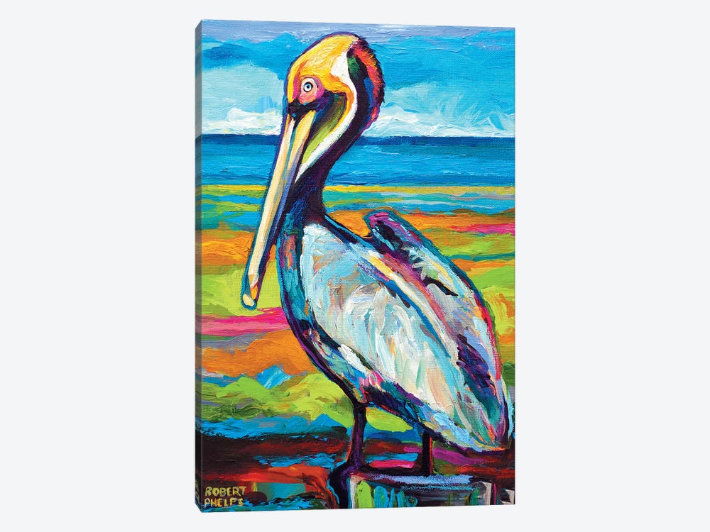 Pelican Canvas Wall Art By Robert Phelps Icanvas