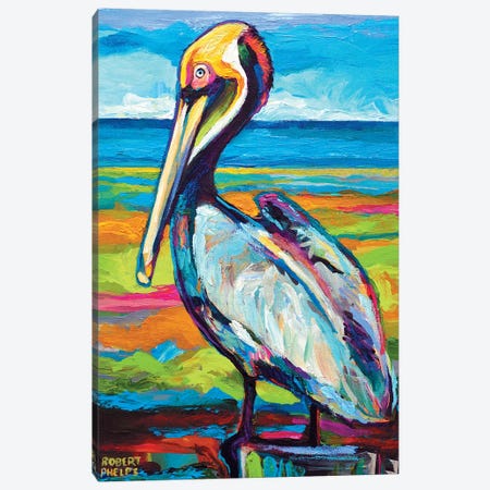 Pelican Canvas Print #RPH52} by Robert Phelps Canvas Art Print