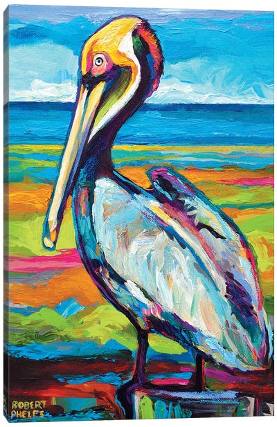 Pelican Canvas Art Print - Beach Décor