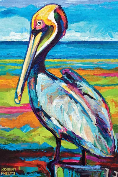 All Things Matisse: Pelican by Robert Phelps