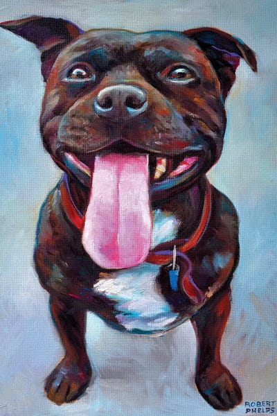 Robert Phelps: Pitbull by Robert Phelps