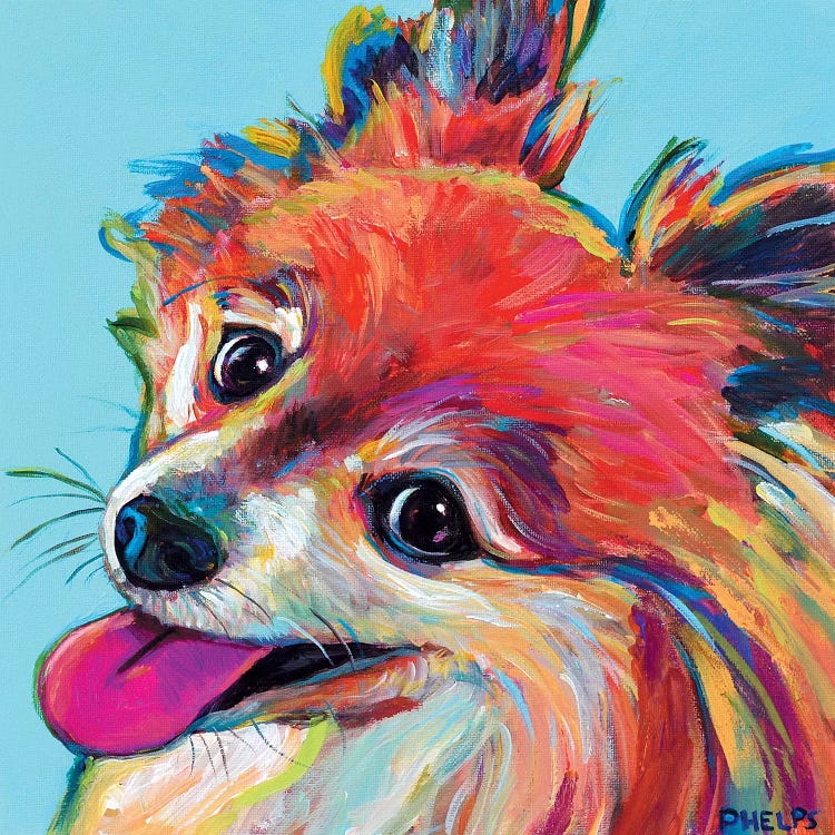 Pomeranian by Robert Phelps wall art