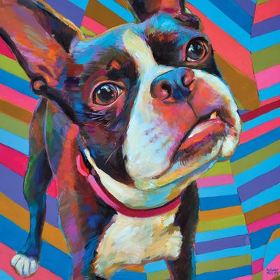 Psychedelic Boston Terrier by Robert Phelps metal wall art