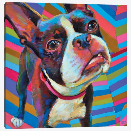 Psychedelic Boston Terrier Canvas Print #RPH55} by Robert Phelps Canvas Artwork